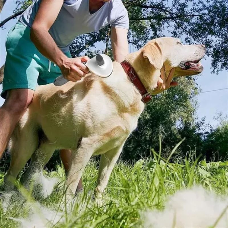 Escova para Pet - Removedora de Pelos com Massagem